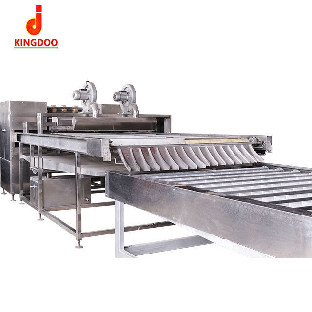 Sicherheits-frische Nudel, die Maschine herstellt, 300kg/Hour oder kundengebundene Produktionskapazität zu pflanzen